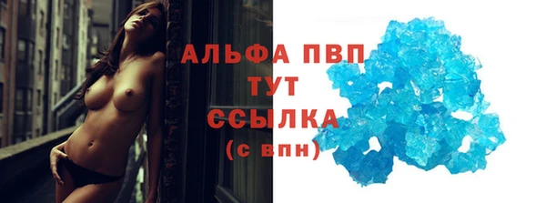 гашик Дмитровск