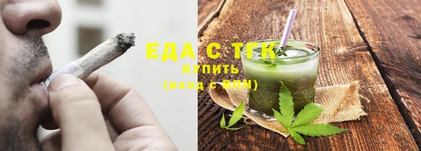 индика Аркадак