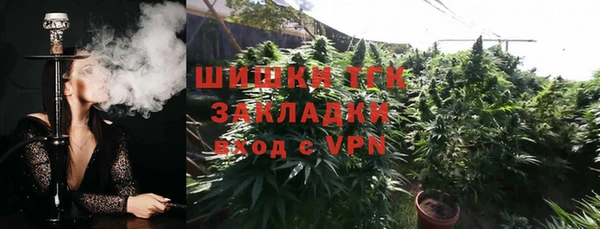 молекула духа Алексеевка