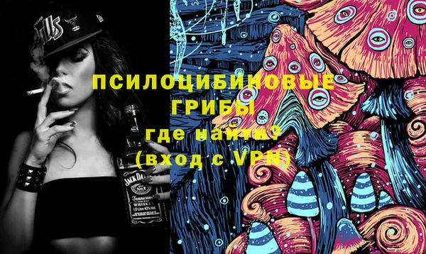 молекула духа Алексеевка