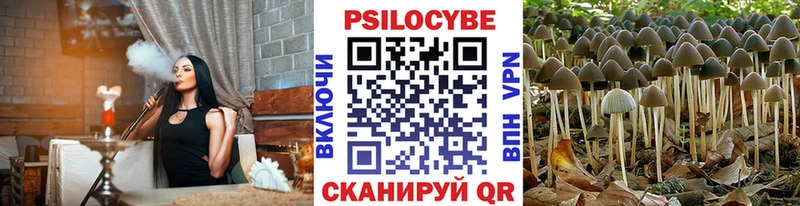Галлюциногенные грибы Magic Shrooms  как найти наркотики  Сусуман 